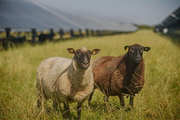 Unlocking Renewable Energy Potential: New revenue streams for landowners