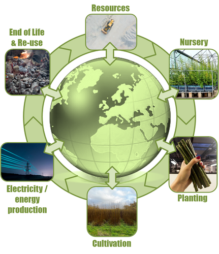 How can we understand the potential gains from producing biomass sooner? Looking towards Net Zero in 2050