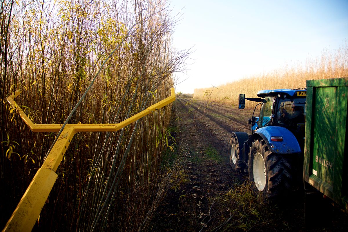 Wood bioenergy pioneer reveals innovative strategies for sustainable and profitable agriculture