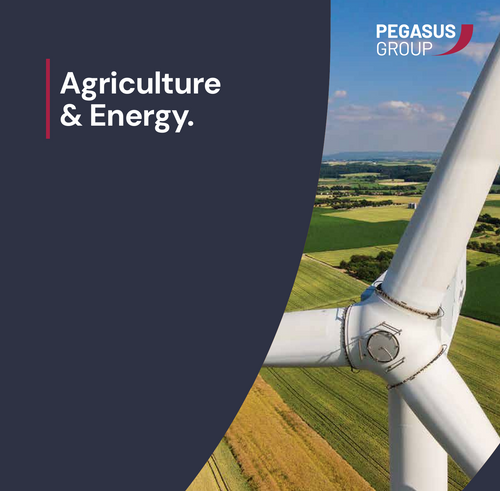 Pegasus Agriculture and Energy Brochure