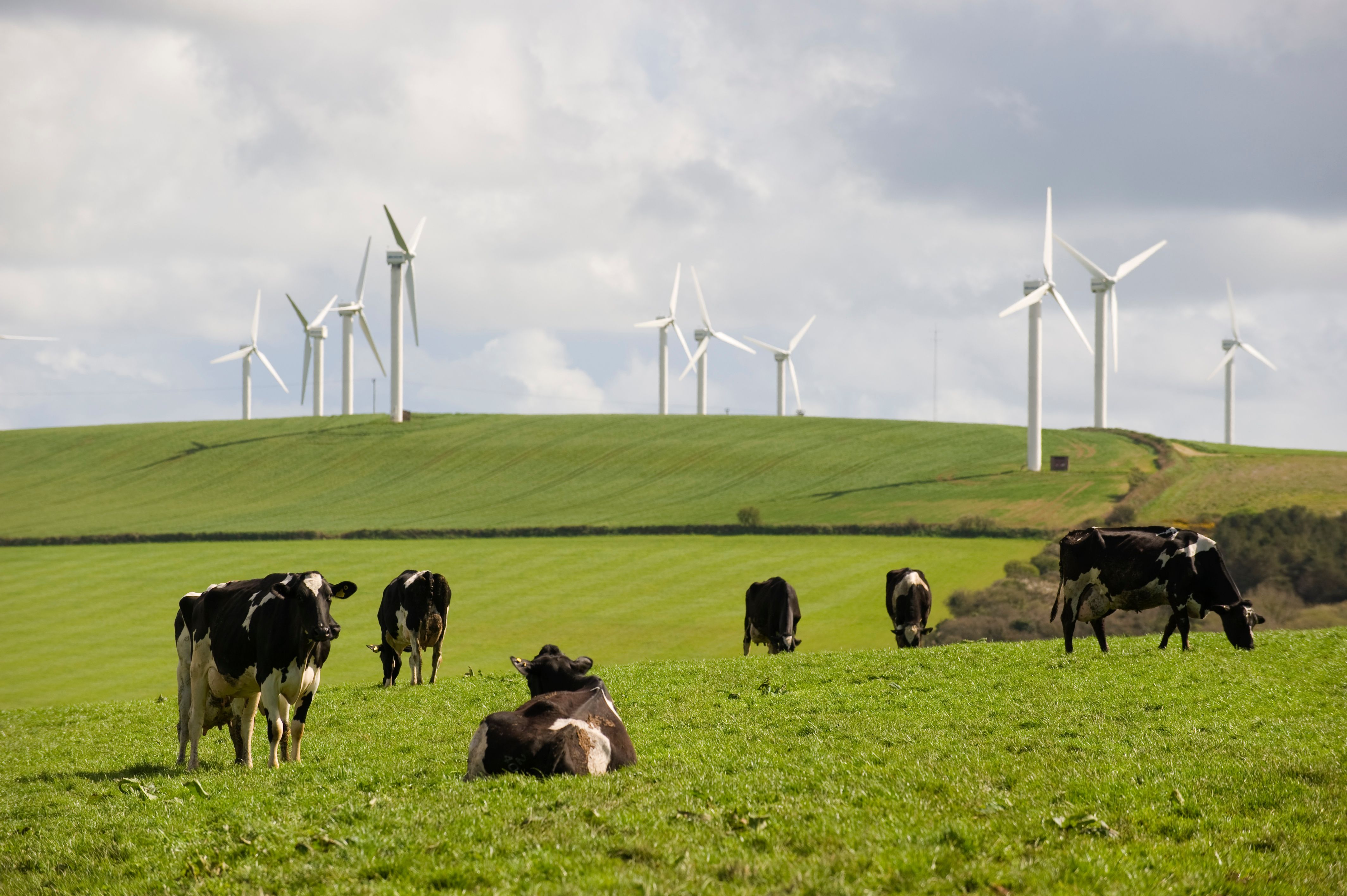 Shaping agriculture’s transition to a Net Zero future
