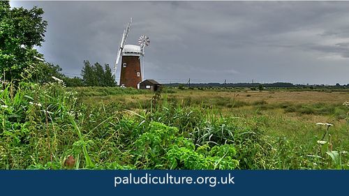 Paludiculture - community of practice