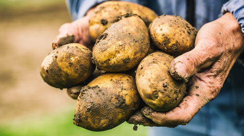 Reganuary: A Perfect Prelude to the Low Carbon Agriculture Show 2025 