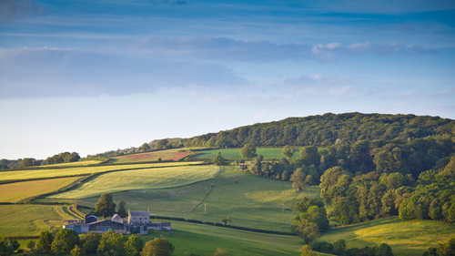 Harnessing the Potential of Natural Capital: A Key Opportunity for Farmers