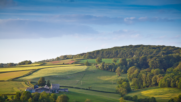 Harnessing the Potential of Natural Capital: A Key Opportunity for Farmers
