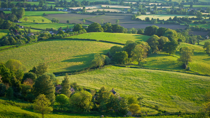 Carbon Farming: Harvesting Profits While Healing the Planet