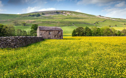 Farming With Nature: What the New Environment Improvement Plan Means for Food Production - And Why Low Carbon Agriculture Is More Important Than Ever 