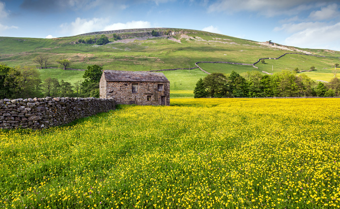 Farming With Nature: What the New Environment Improvement Plan Means for Food Production - And Why Low Carbon Agriculture Is More Important Than Ever 