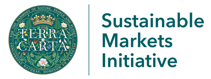 Sustainable Markets Initiative