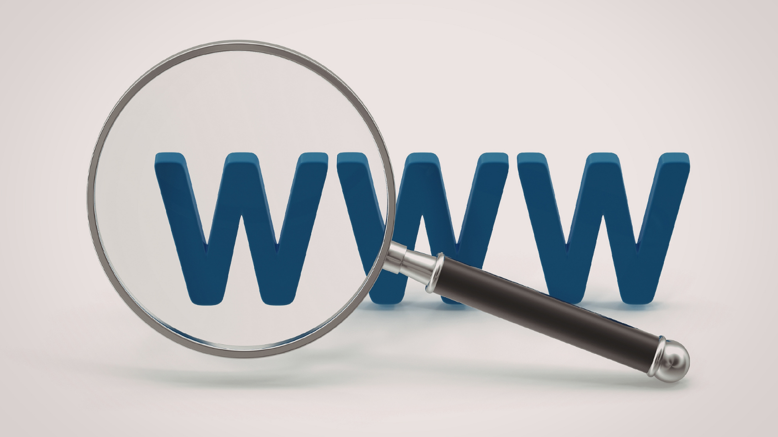 A graphic of a large magnifying glass over WWW. to signify SEO