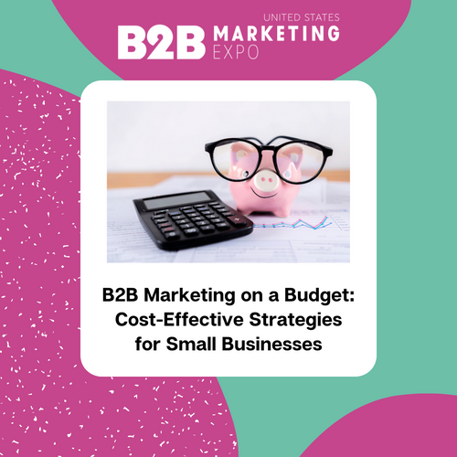 B2B Marketing on a Budget: Cost-Effective Strategies for Small Businesses