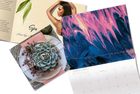Modern Postcard Direct Mail and Printing Services