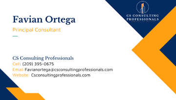 CS Consulting Professionals