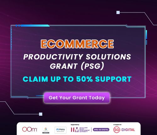 Ecommerce Productivity Solutions grant (PSG)
