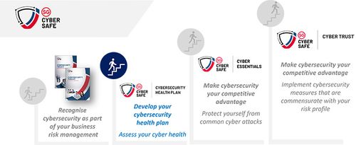 Cybersecurity Health Plan - CISO as a Service Consultant