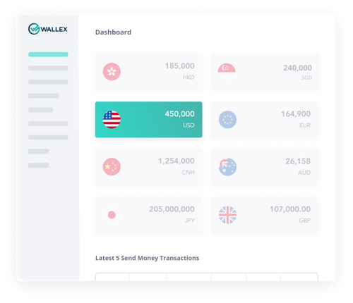 Hold And Manage 13 Prime & Exotic Currencies