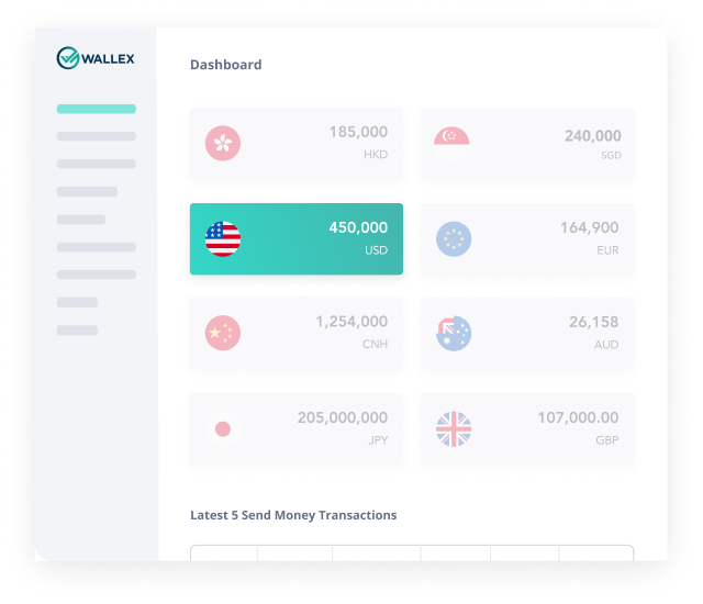 Hold And Manage 13 Prime & Exotic Currencies