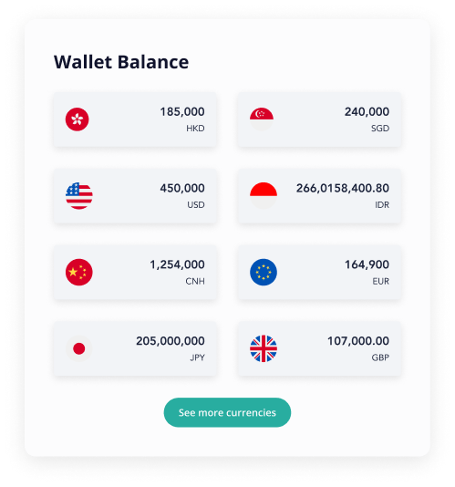Hold And Manage 13 Prime & Exotic Currencies