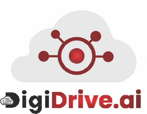 DigiDrive DMS