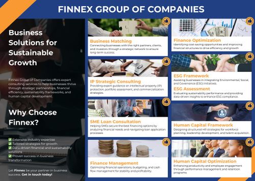 All‑in‑One Business Sustainability & Globalisation Management Consulting Group