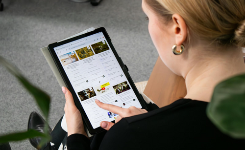 Social Media Management