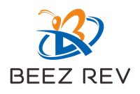 Company name - Beez Rev Pte Ltd