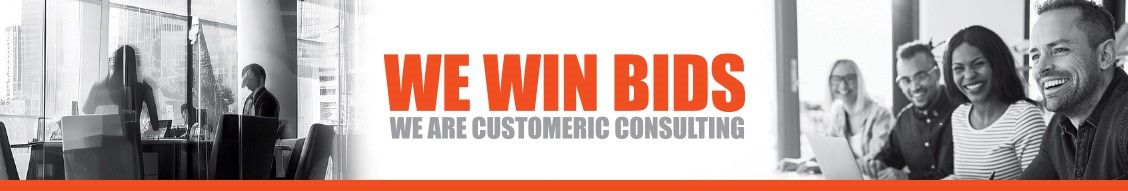 Cover image - Customeric Consulting