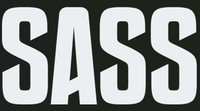 Company name - STAGE AND STUDIO SERVICES