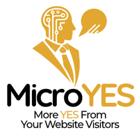 Company name - MicroYES