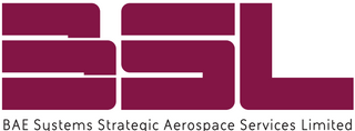 Exhibitor profile image for BSL WLL