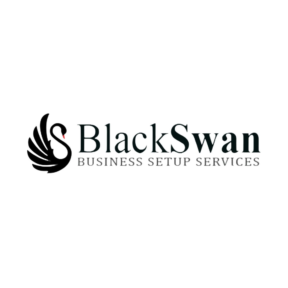 Black Swan Business Set Up