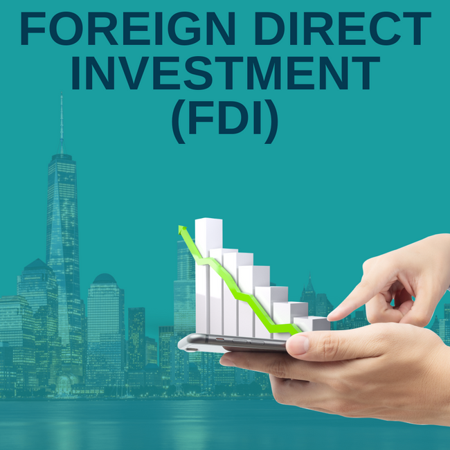 Foreign Direct Investment (FDI)