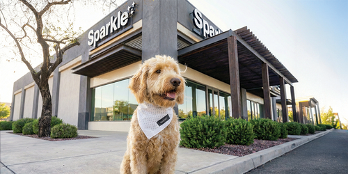 Sparkle Grooming Co. Emerges as a Breakout Franchise Brand, Surpassing 500 Licenses Awarded