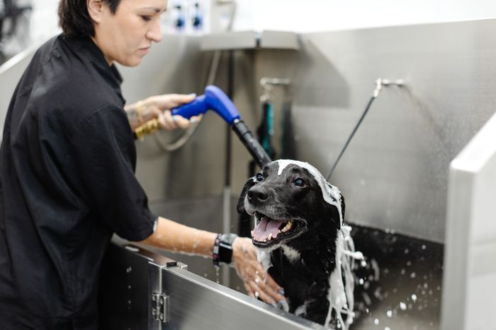 Hygiene