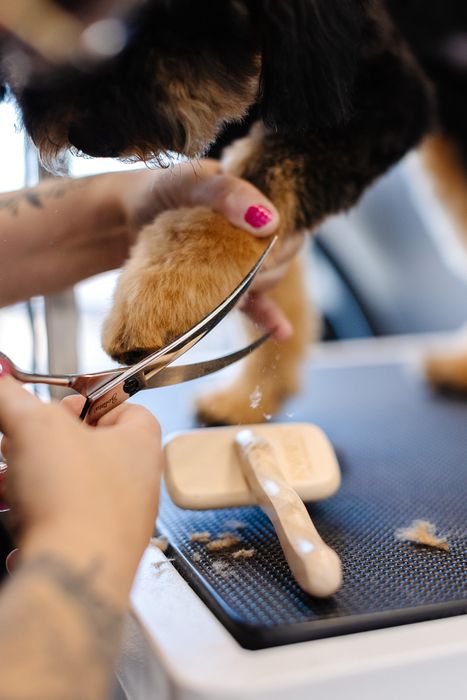 Grooming