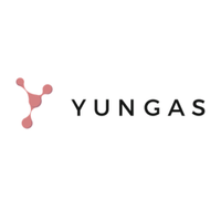 Company name - Yungas