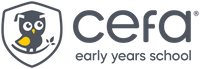 Company name - CEFA Systems
