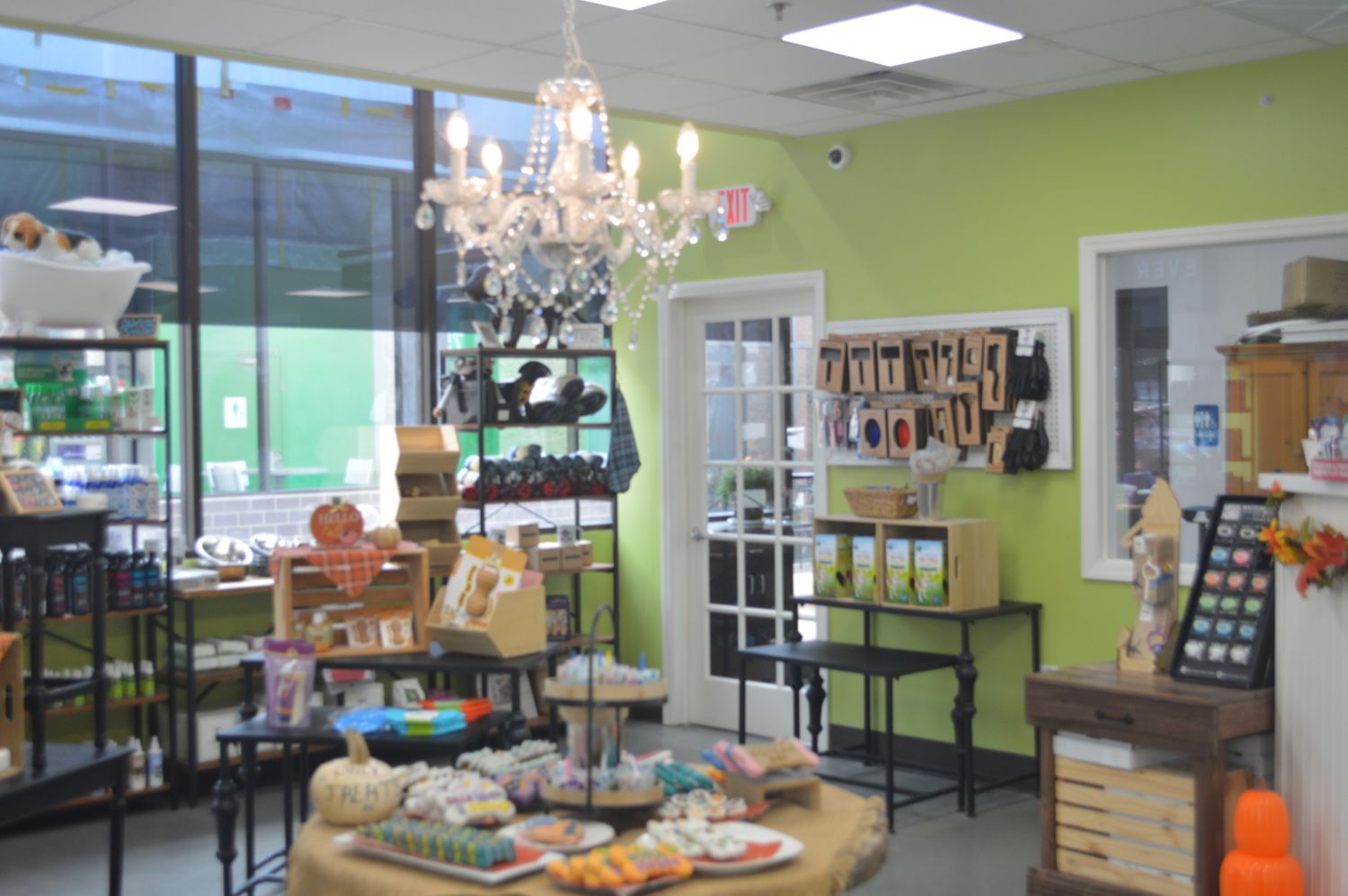Cover image - Dirty Dogs Spa & Boutique