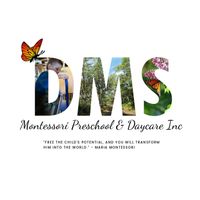 Company name - DMS Montessori Schools Ltd.