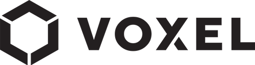 Voxel AI