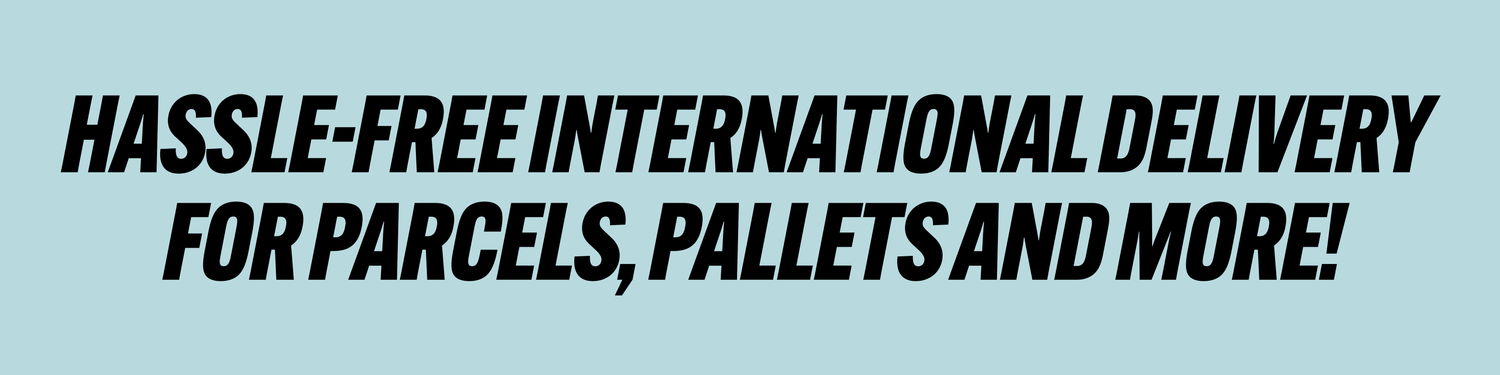 Delsol International