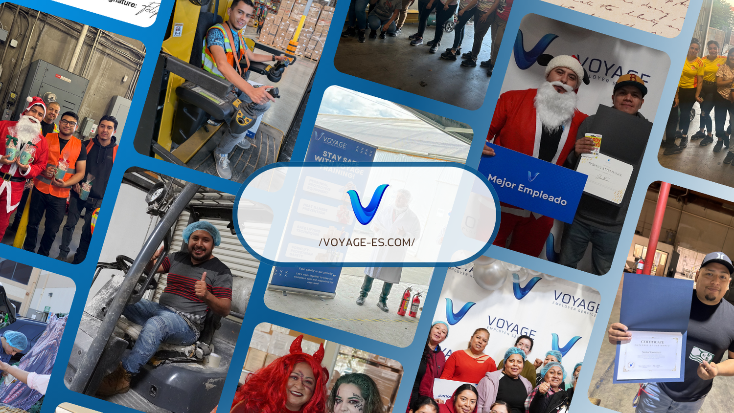 Voyage Employer Services