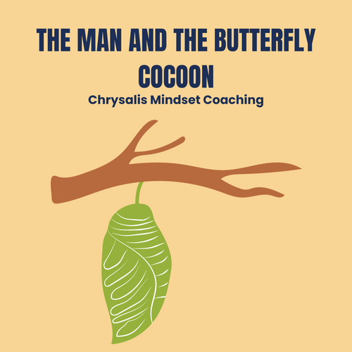 The Man and the Butterfly Cocoon
