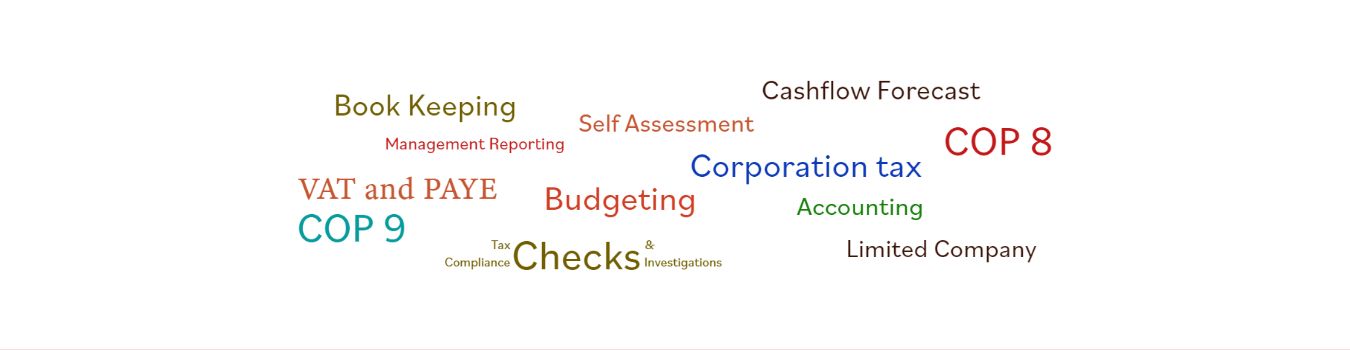 Tax Accountant