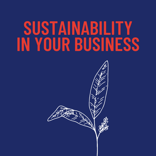 Sustainability in your Business