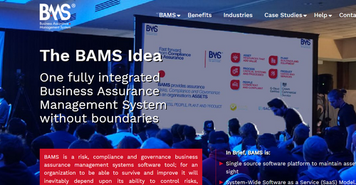 BAMS - Business Assurance Management System