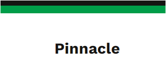 Pinnacle - A complete accounting solutions