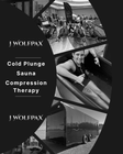 The Wolf Den: Mobile Wellness That Builds Resilience, Teams, and Peak Performance