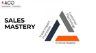 1 Billion Dollar Sales Mastery