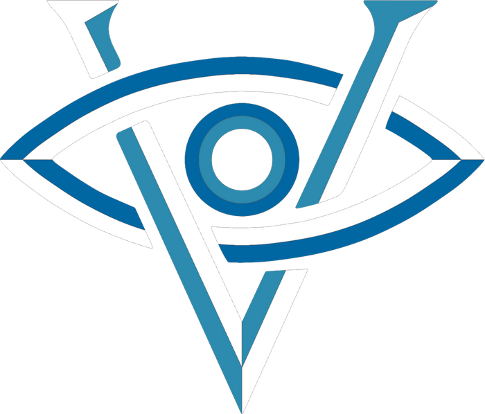 Visionary Consulting